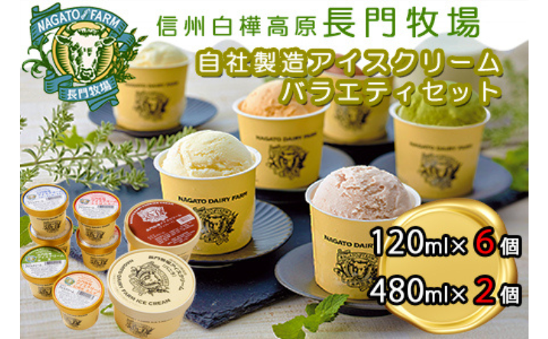 長門牧場　自社製造アイスクリーム　贅沢大容量サイズ入りバラエティセット　人気スイーツ　濃厚ミルク　直送　牛乳　生乳　国産　夏ギフト　長野県　贈答品　お土産　お中元　お歳暮　クリスマス
