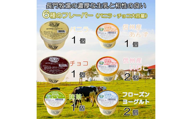 長門牧場アイスクリーム大小セットC　6種のフレーバー詰め合わせ（バニラ、チョコレート、抹茶、ヨーグルト、いちご、あんず）　人気スイーツ　濃厚ミルク　直送　牛乳　生乳　国産　夏ギフト　長野県　贈答品　お土産　お中元　お歳暮　クリスマス