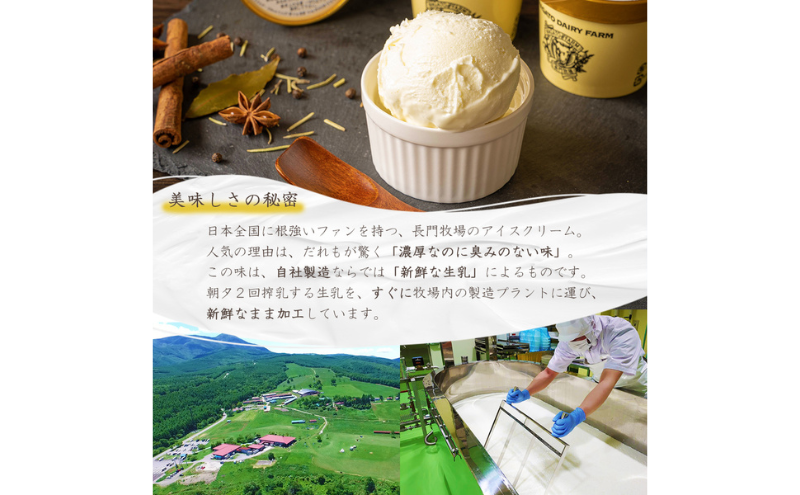 長門牧場アイスクリーム大小セットC　6種のフレーバー詰め合わせ（バニラ、チョコレート、抹茶、ヨーグルト、いちご、あんず）　人気スイーツ　濃厚ミルク　直送　牛乳　生乳　国産　夏ギフト　長野県　贈答品　お土産　お中元　お歳暮　クリスマス