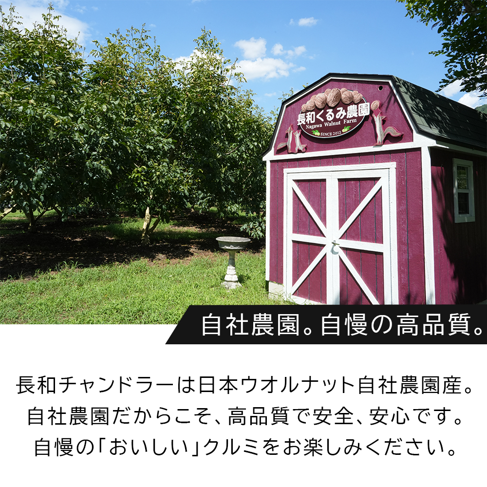 高級かしくるみ「長和チャンドラー」500g　希少な国産チャンドラー種　信州長和産　自社農園直送