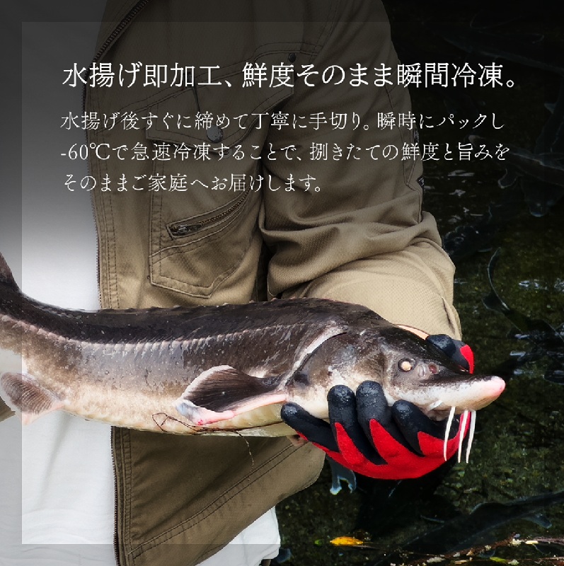 é»è è¶é®«ã®ãåºèº« ã¹ã©ã€ã¹ 100g ãã§ãŠã¶ã¡ åºèº« ã¹ã©ã€ã¹ ç空 ãã㯠å·å é·éç é·åçº