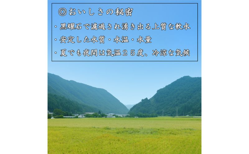 【先行受付】令和8年産 コシヒカリ5キロ(5kg×1袋) 天然の軟水「黒耀水」育ちのお米 長野県長和町産 農家直送 一等米精白米