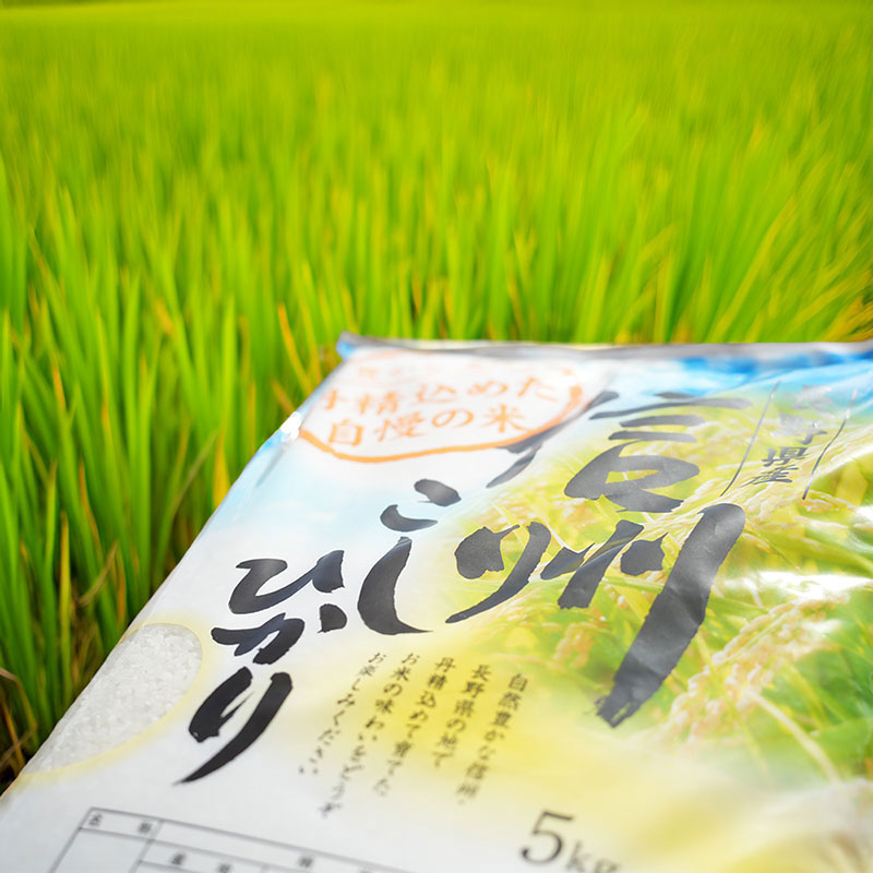 令和7年産 長野県長和町産こしひかり5kg(キロ) 精白米　農家直送　冷めてもおいしいお米
