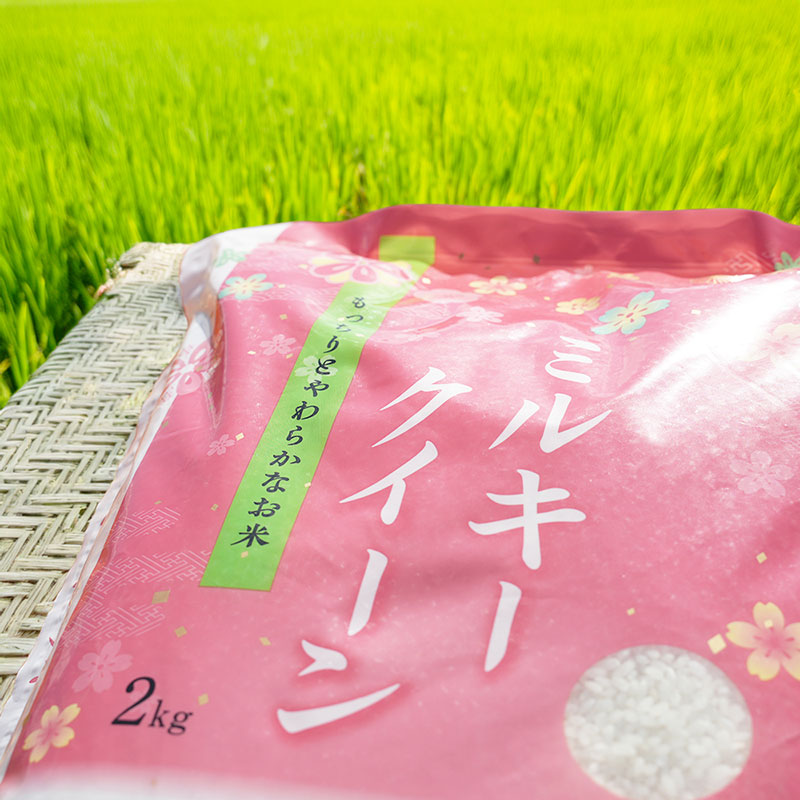 令和7年産 長野県長和町産ミルキークイーン2kg(キロ) 精白米　農家直送　冷めてもおいしいお米