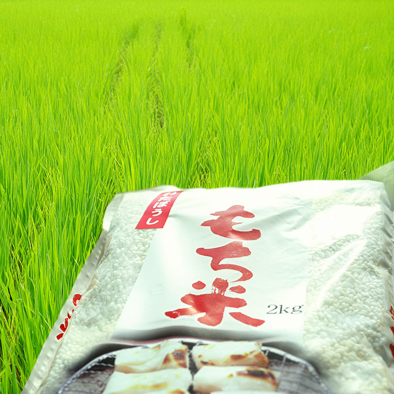 令和7年産 長野県長和町産もち米 わたぼうし2kg精米　農家直送　おこわや赤飯でも美味しい餅米