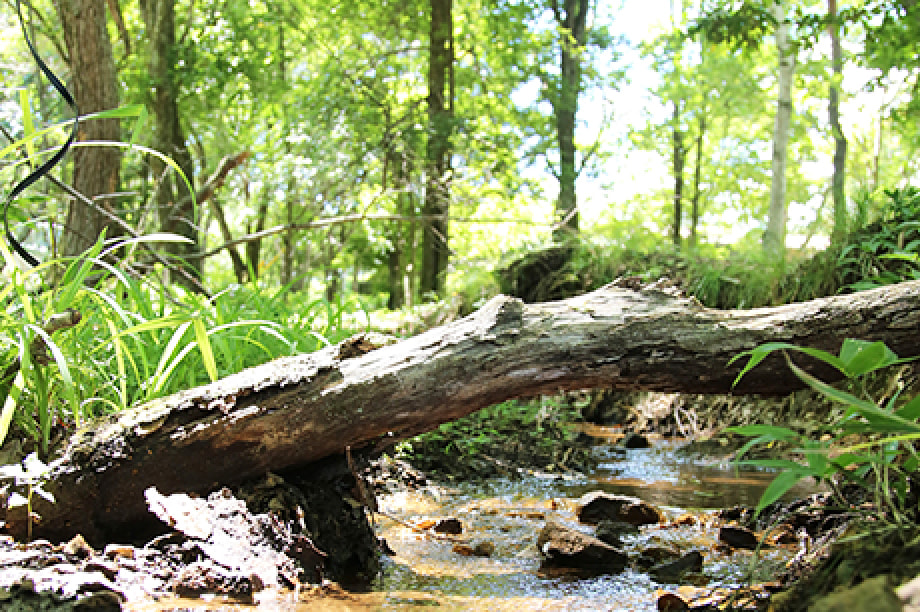 縺縺、縺セ縺ァ繧ゅ∩縺ゥ繧翫瑚縺阪阪▽縺・縺代k繧縺吶i縺弱ョ驛キ莠区・ュ