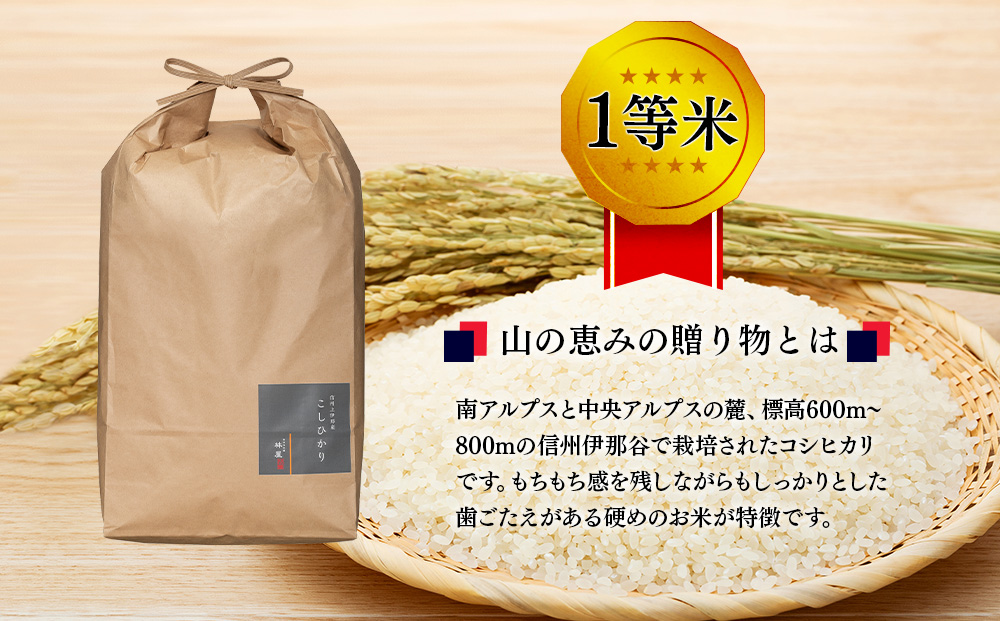 【令和7年産】信州産 コシヒカリ 1等米 「山の恵みの贈り物」 10kg（10kg×1袋） （ お米 コシヒカリ 白米 搗きたて米 低温貯蔵米 食品 ) 長野県　箕輪町