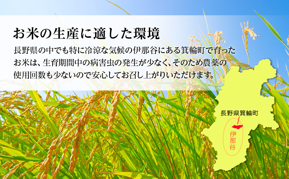 【令和7年産】信州産 コシヒカリ 1等米 「山の恵みの贈り物」 5kg （ お米 コシヒカリ 白米 搗きたて米 低温貯蔵米 食品 ) 長野県　箕輪町