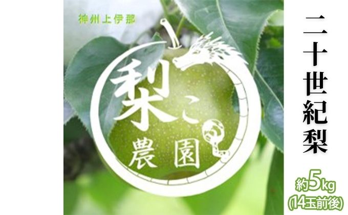 【無農薬】梨 先行予約 二十世紀梨 約5kg 14玉前後 フルーツ 果物  旬の果物 旬のフルーツ 甘い 皮ごと