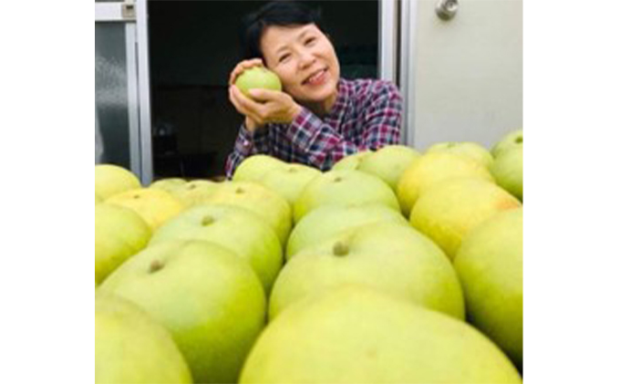 【無農薬】梨 先行予約 二十世紀梨 約5kg 14玉前後 フルーツ 果物  旬の果物 旬のフルーツ 甘い 皮ごと 