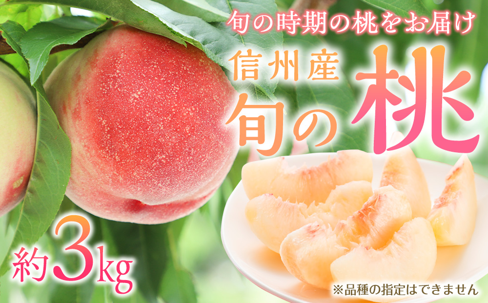 もも 3kg 11玉以上 信州のもも 桃 モモ 果物 くだもの フルーツ 旬の果物 旬のフルーツ 信州 あかつき 白桃 白根白桃 黄金桃 川中島白桃 信州 長野 長野県