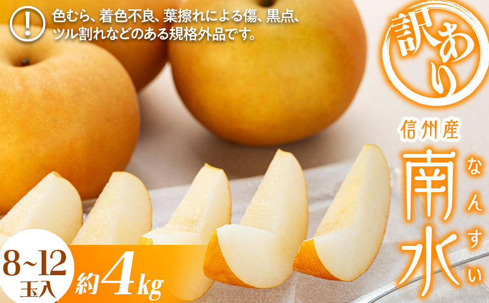 梨 訳あり 南水 4kg 8～12玉 フルーツ 果物  旬の果物 旬のフルーツ 甘い