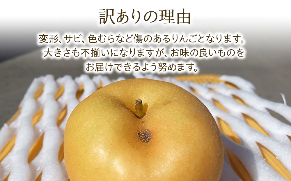 梨 訳あり 南水 4kg 8～12玉 フルーツ 果物  旬の果物 旬のフルーツ 甘い
