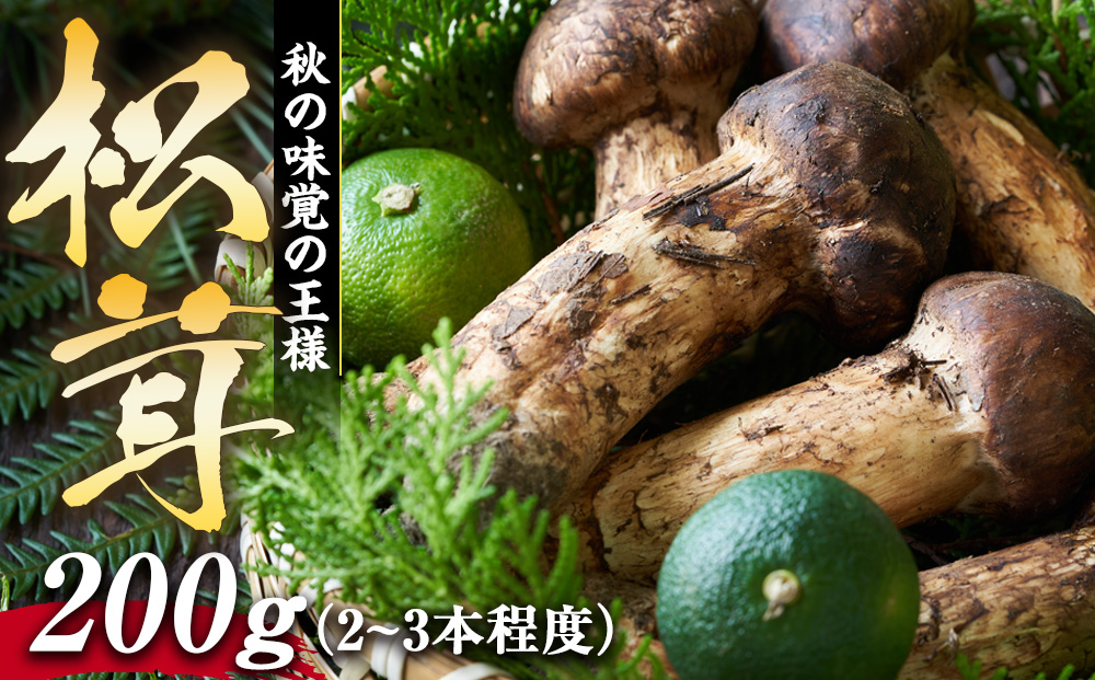 松茸 200g 約2～3程度 きのこ キノコ 秋の味覚 野菜