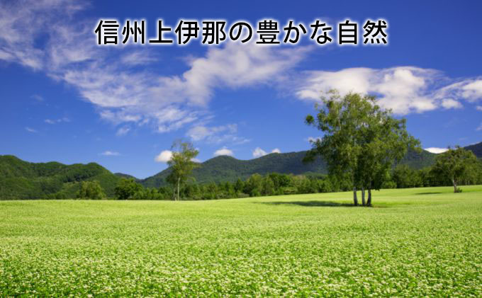 そば 生そば 2パック 100g 3袋 JA上伊那 伊那華の生そば めんつゆ付 蕎麦 半生そば 信州上伊那産そば粉 信濃一号 信濃夏そば 保存料不使用 香り高い風味 のど越しの良さ こだわりのつゆ 風味豊か 信州そば 和食 日本食 麺 麺類 食品 