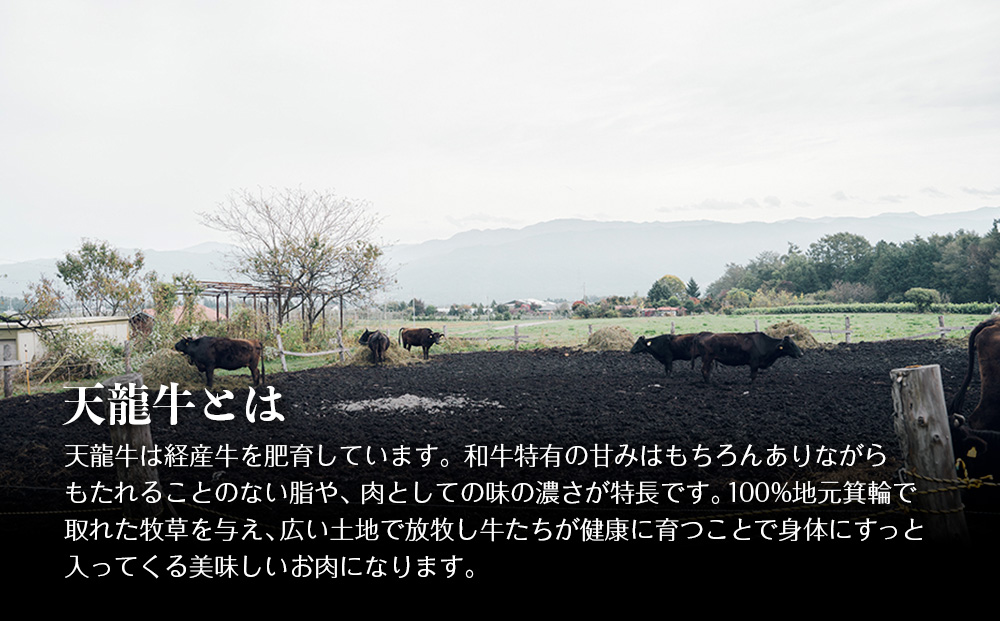 【希少な黒毛和牛】天龍牛生ハンバーグ150g×5個 ハンバーグ 天龍牛 黒毛和牛 長野県産 信州産 お肉 国産 希少 