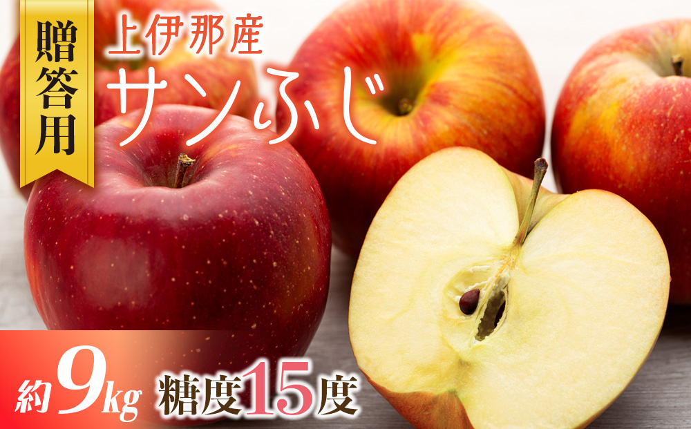 贈答用 りんご サンふじ 9kg 上伊那産 林檎 リンゴ サンフジ さんふじ 果物 くだもの フルーツ 旬の果物 旬のフルーツ ギフト 贈り物 プレゼント 信州 長野 長野県