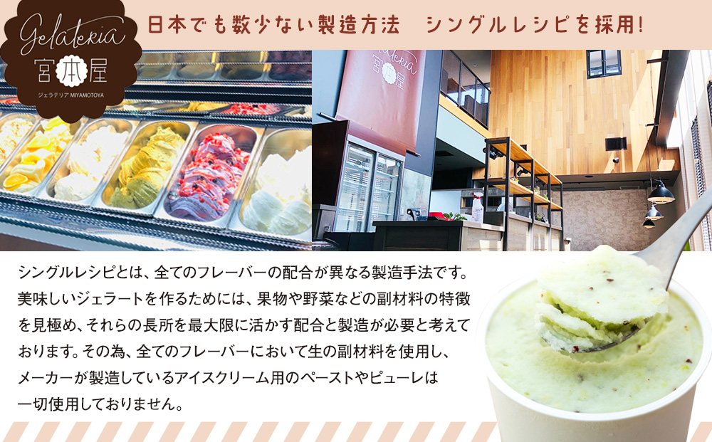 ãžã§ã©ãŒã 12å ã»ãã è©°ãåãã ãžã§ã©ããªã¢å®®æ¬å±å³éž ã¢ã€ã¹ ã·ã£ãŒããã ãžã§ã©ããªã¢å®®æ¬å± ç ç³æ§ãã ãã«ã·ãŒ ä¿¡å·çä¹³ ããã ãã¡ã é»ã㟠ãã§ã³ã¬ãŒã ã©ã ã¬ãŒãºã³ æ¹è¶ 宿²» ãã³ãŽãŒãã«ã¯ ã¢ã«ãã©ã³ãœãã³ãŽãŒ