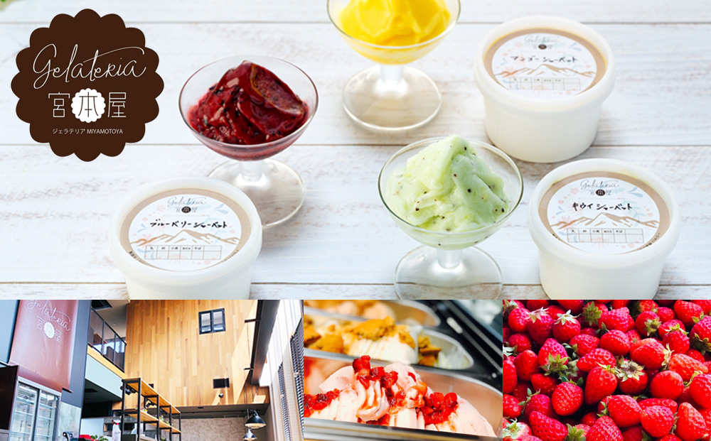 乳成分不使用 シャーベット 6個 セット 詰め合わせ フルーツシャーベット いちご りんご ブルーベリー キウイ マンゴー ぶどう アイス デザート スイーツ お菓子 菓子 おやつ 信州 長野 長野県 