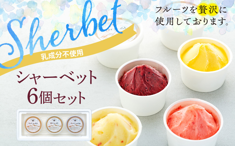 乳成分不使用 シャーベット 6個 セット 詰め合わせ フルーツシャーベット いちご りんご ブルーベリー キウイ マンゴー ぶどう アイス デザート スイーツ お菓子 菓子 おやつ 信州 長野 長野県