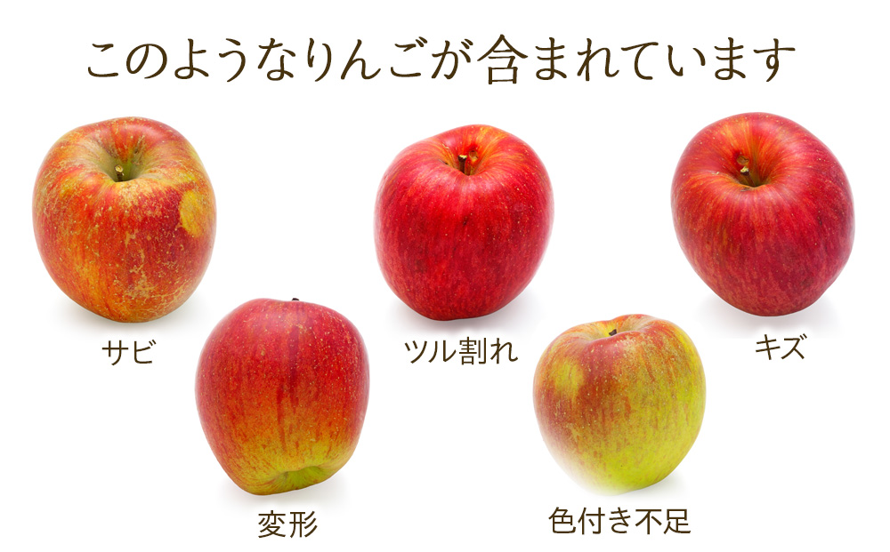 訳あり りんご サンふじ 4.5kg 16～18玉 林檎 リンゴ サンフジ さんふじ 傷 キズ 果物 くだもの フルーツ 旬の果物 旬のフルーツ 家庭用 訳アリ 信州 長野 長野県