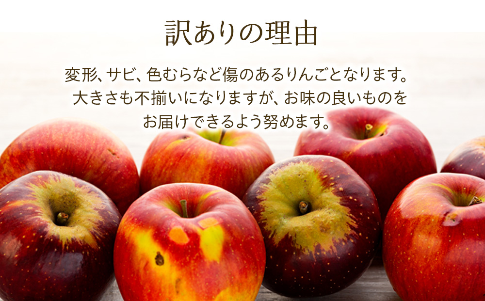 訳あり りんご サンふじ 4.5kg 16～18玉 林檎 リンゴ サンフジ さんふじ 傷 キズ 果物 くだもの フルーツ 旬の果物 旬のフルーツ 家庭用 訳アリ 信州 長野 長野県