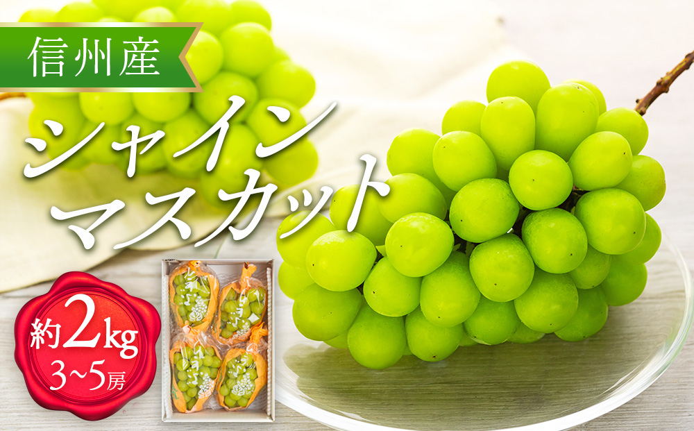 シャインマスカット 2kg 3～5房 ぶどう 葡萄 ブドウ マスカット 果物 くだもの フルーツ 旬の果物 旬のフルーツ 信州 長野 長野県