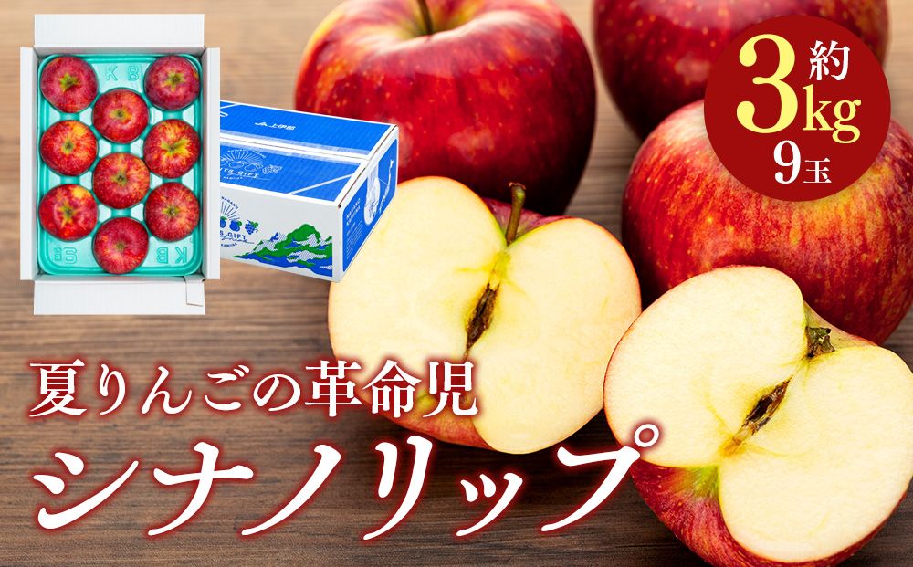 シナノリップ　約3kg（9玉） 果物 フルーツ りんご 信州産 信州のりんご 信州の果物 長野のりんご さわやかな酸味 甘味 バランス ジューシー