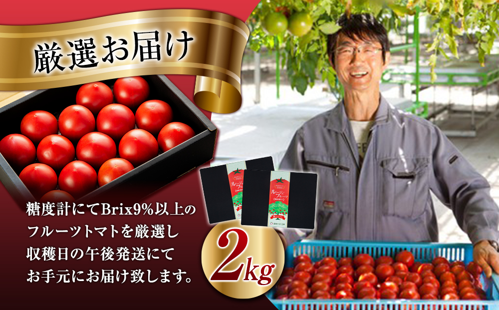 トマト フルーツトマトルージュフルーツトマト 2kg 糖度8度以上 産地直送 厳選 樹上甘熟 長野県産 野菜 甘い コク 酸味 爽やか ビタミン ミネラル 栄養 リコピン 抗酸化力 美容 健康