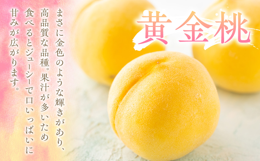 もも 3kg 11玉以上 信州のもも 桃 モモ 果物 くだもの フルーツ 旬の果物 旬のフルーツ 信州 あかつき 白桃 白根白桃 黄金桃 川中島白桃 信州 長野 長野県