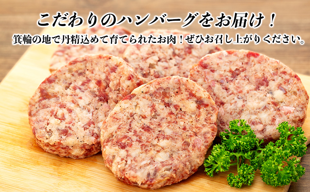 【希少な黒毛和牛】天龍牛生ハンバーグ150g×5個 ハンバーグ 天龍牛 黒毛和牛 長野県産 信州産 お肉 国産 希少 