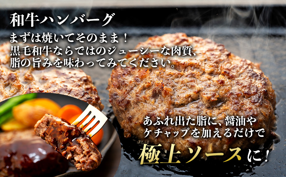 【希少な黒毛和牛】天龍牛生ハンバーグ150g×5個 ハンバーグ 天龍牛 黒毛和牛 長野県産 信州産 お肉 国産 希少 
