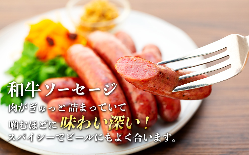 【希少な黒毛和牛】天龍牛ウインナーソーセージ　約175g（5本入り）×4セット ソーセージ 天龍牛 黒毛和牛 長野県産 信州産 お肉 国産 希少 お酒のつまみ 