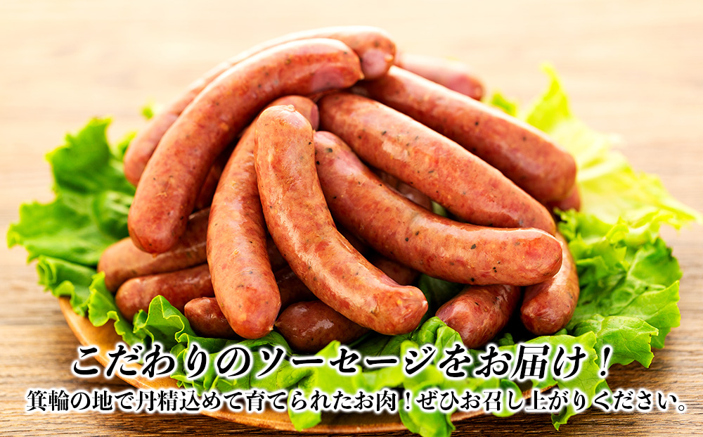 【希少な黒毛和牛】天龍牛ウインナーソーセージ　約175g（5本入り）×4セット ソーセージ 天龍牛 黒毛和牛 長野県産 信州産 お肉 国産 希少 お酒のつまみ 