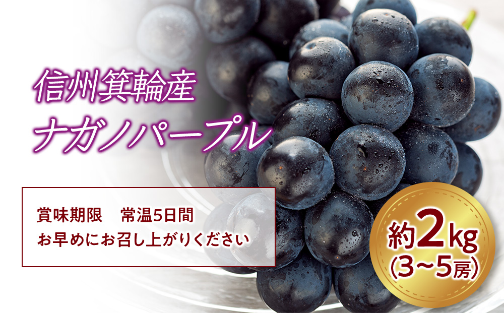 ぶどう ナガノパープル 2kg 3～5房 フルーツ 果物 旬の果物 旬のフルーツ 種なし 葡萄