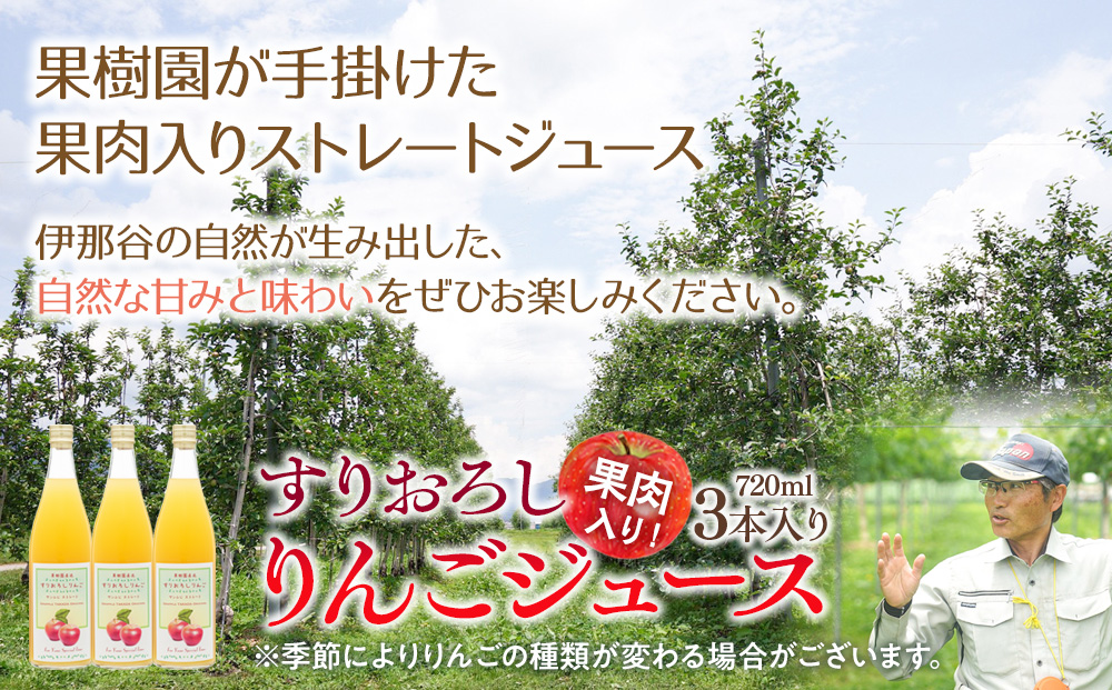 果肉入り！すりおろしりんごジュース 3本入り リンゴジュース りんご リンゴ 林檎 長野 フルーツ 果物 信州産 長野県産 特産 産地直送 おすすめ 