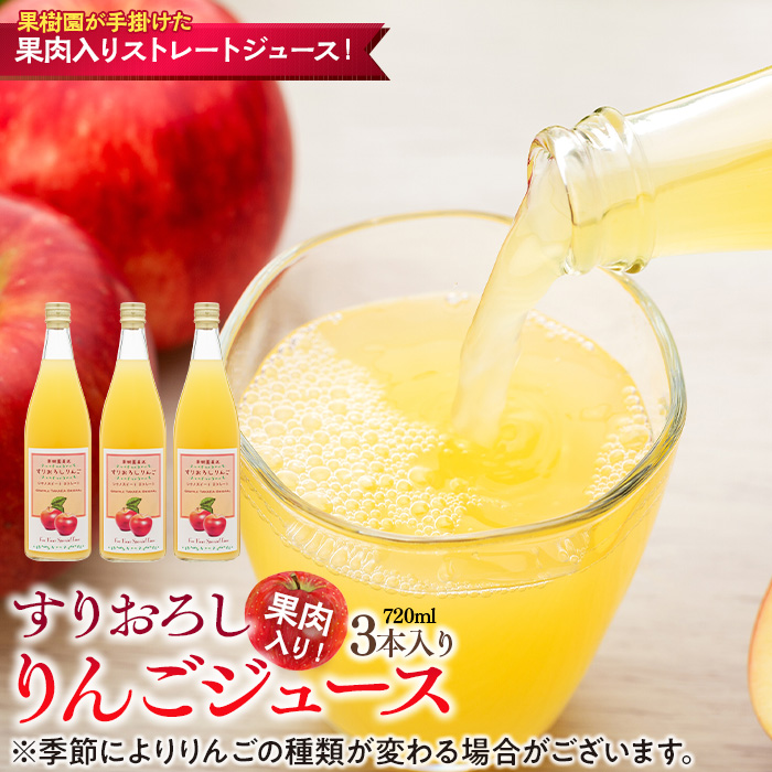 果肉入り！すりおろしりんごジュース 3本入り リンゴジュース りんご リンゴ 林檎 長野 フルーツ 果物 信州産 長野県産 特産 産地直送 おすすめ 