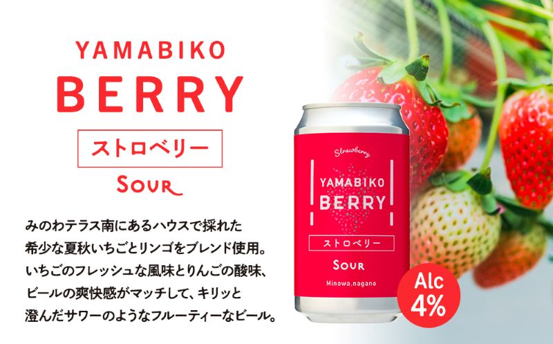 クラフトビール YAMABIKO BEER 3種 計6本 飲み比べ セット 赤そば ブルーベリー ストロベリー 詰め合わせ 地ビール フルーツ ビール フルーツビール お酒 酒 アルコール 発泡酒 珍しい フルーティー ギフト プレゼント 贈答 冷蔵 長野 長野県