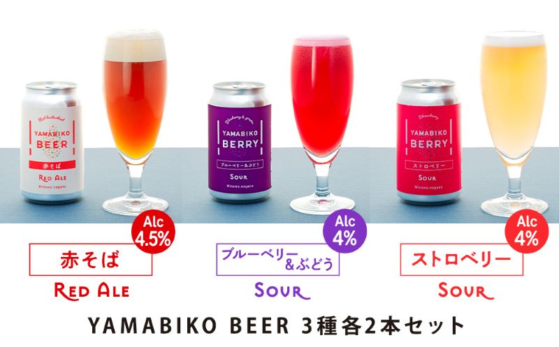 クラフトビール YAMABIKO BEER 3種 計6本 飲み比べ セット 赤そば ブルーベリー ストロベリー 詰め合わせ 地ビール フルーツ ビール フルーツビール お酒 酒 アルコール 発泡酒 珍しい フルーティー ギフト プレゼント 贈答 冷蔵 長野 長野県
