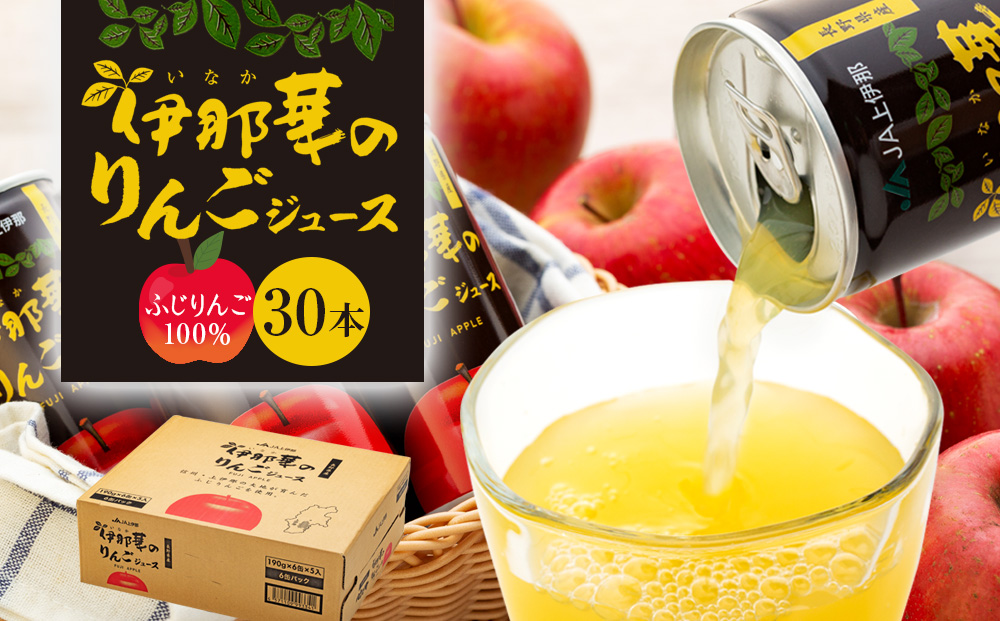 伊那華のりんごジュース 190g 30本 サンふじ 100％ジュース りんごジュース ストレート 信州りんごジュース ジュース 信州りんご りんご 林檎 フルーツジュース 飲み物 ドリンク 長野 長野県 箕輪町