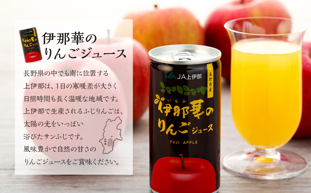 伊那華のりんごジュース 190g 30本 サンふじ 100％ジュース りんごジュース ストレート 信州りんごジュース ジュース 信州りんご りんご 林檎 フルーツジュース 飲み物 ドリンク 長野 長野県 箕輪町