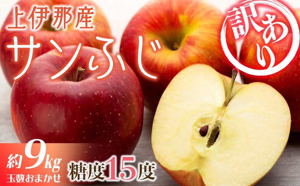 訳あり 先行予約 りんご サンふじ 選べる 4.5kg 9kg フルーツ 果物 傷 規格外 秋 冬 旬 旬のフルーツ 旬の果物 産地直送 信州 長野県産 おやつ デザート スイーツ リンゴ 長野県 2024 2024年 令和6年度発送分
