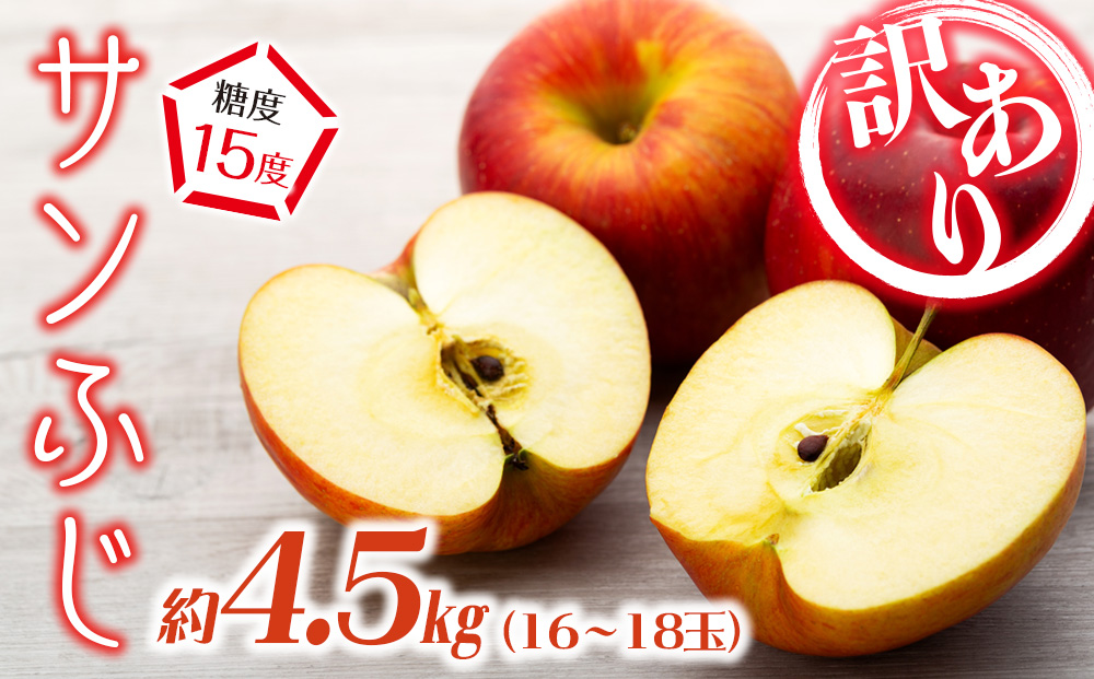 訳あり りんご サンふじ 4.5kg 16～18玉 林檎 リンゴ サンフジ さんふじ 傷 キズ 果物 くだもの フルーツ 旬の果物 旬のフルーツ 家庭用 訳アリ 信州 長野 長野県