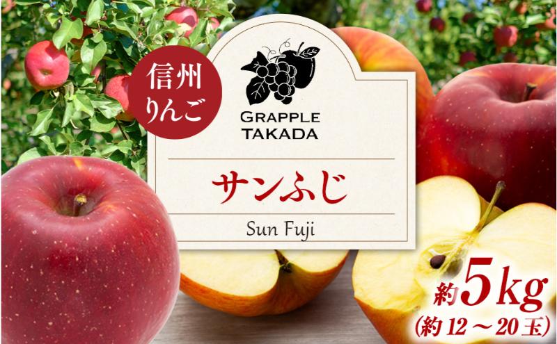 信州りんご サンフジ 約5kg 果物 フルーツ 果物類 林檎 リンゴ