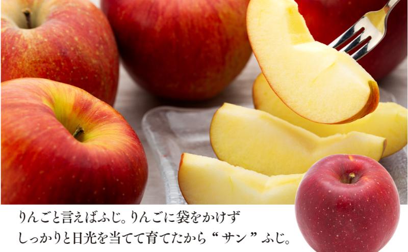信州りんご サンフジ 約5kg 果物 フルーツ 果物類 林檎 リンゴ