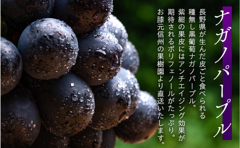 ぶどう ナガノパープル 粒パック 約1kg 皮ごと食べられる黒葡萄 葡萄 ぶどう ブドウ 長野 フルーツ 果物 信州産 長野県産 特産 産地直送 おすすめ デザート