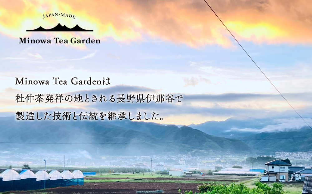 信州伊那谷謹製 杜仲茶60パック 100%国産杜仲茶葉 ノンカフェイン お茶 茶 健康 飲料 ドリンク 飲み物 信州 長野 長野県