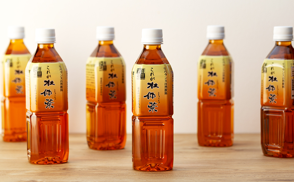 これが杜仲茶 500ml 24本 ペットボトル 杜仲茶 お茶 茶 健康 ノンカフェイン 化学合成農薬不使用 飲料 ドリンク 飲み物 清涼飲料水 信州 長野 長野県 