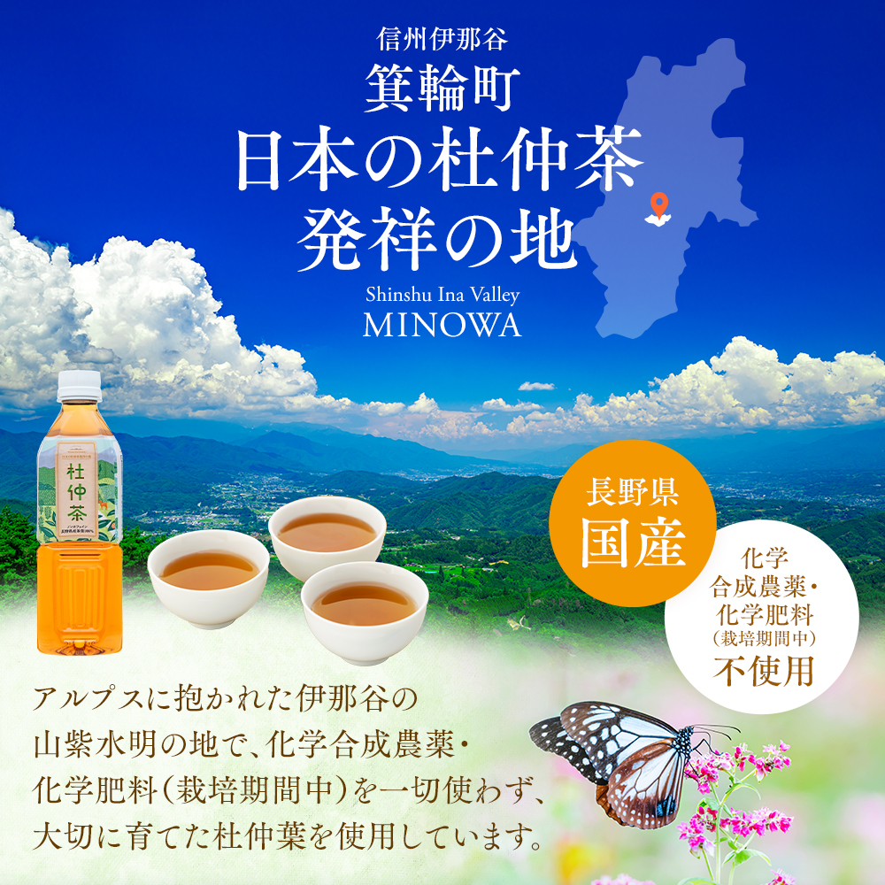 ノンカフェイン　信州伊那谷の手摘み杜仲茶〔ペットボトル 500ml×24本入〕自然豊かな胎内高原の天然水で低温抽出 化学合成農薬不使用 飲料 ドリンク 飲み物 清涼飲料水 信州 長野 長野県 