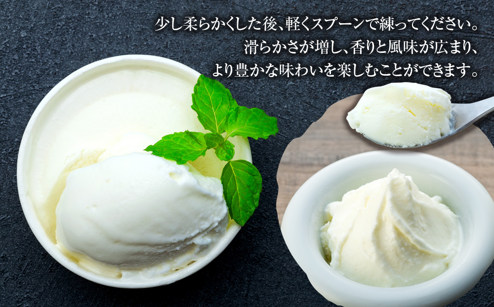 ジェラート ミルクジェラート セット 詰め合わせ 24個 4種 各6個 信州産牛乳 信州 アイス スイーツ ひんやりスイーツ おやつ デザート 食後 ピスタチオ アーモンド チョコレート 箕輪町